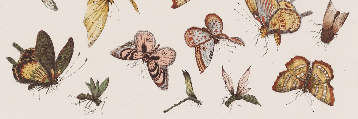 the garden shed ⋆˙⟡♡ banner