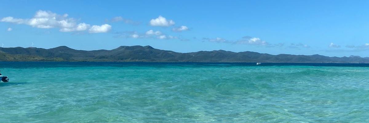 Simon Prokisch banner