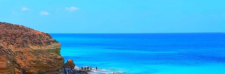 شاي 🍃 banner