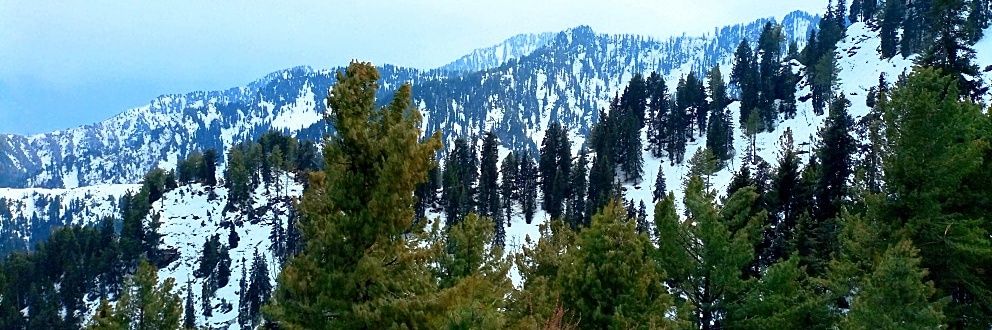 Inamullah Memon banner