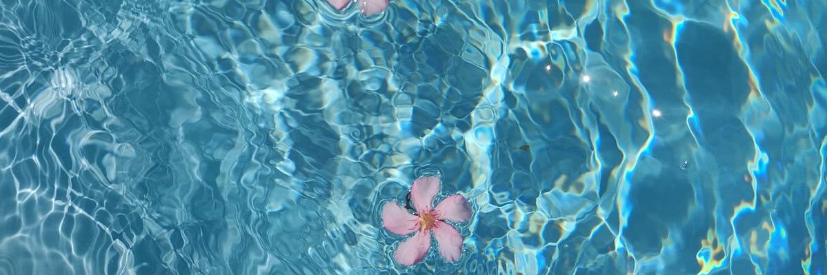 susuno0's profile banner image