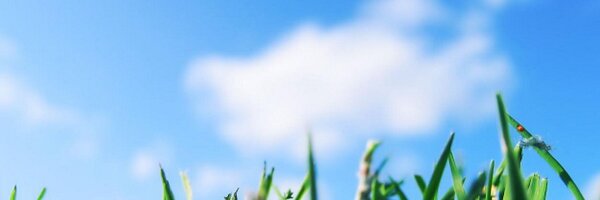 barmanides Profile Banner