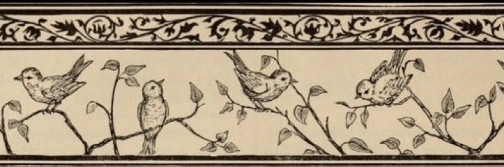 tlinwkindness's profile banner image