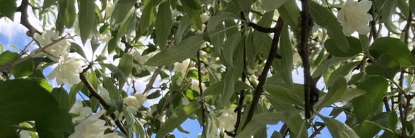 NiKanmuc Profile Banner