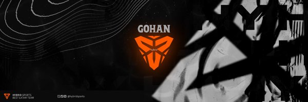 Gohanbot19 Profile Banner