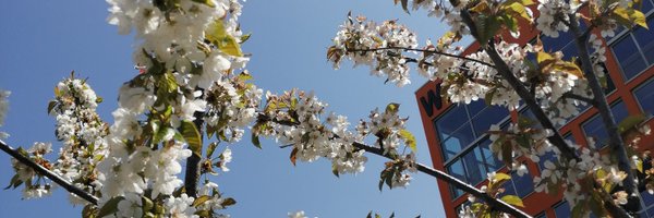 UEcosystems Profile Banner