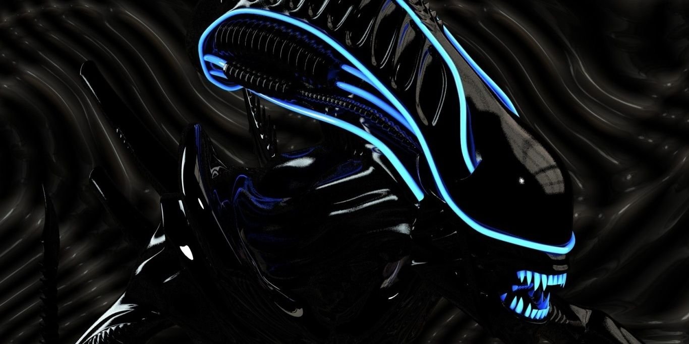dimebagdan81's profile banner image
