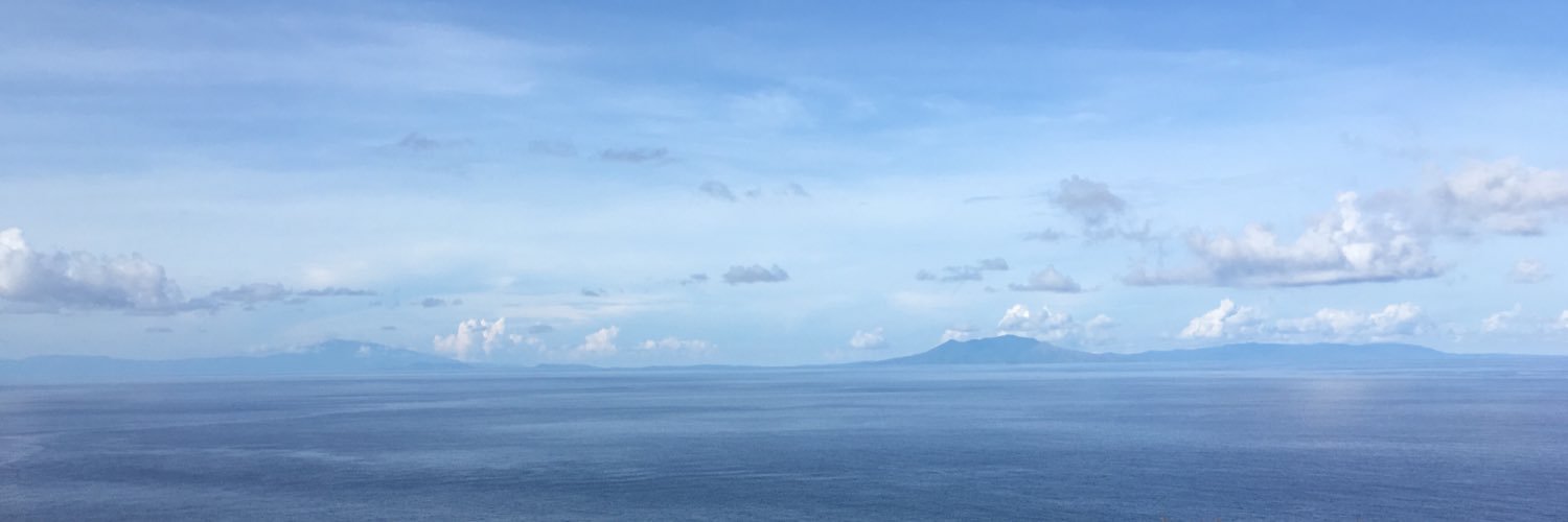 vlancheapril's profile banner image