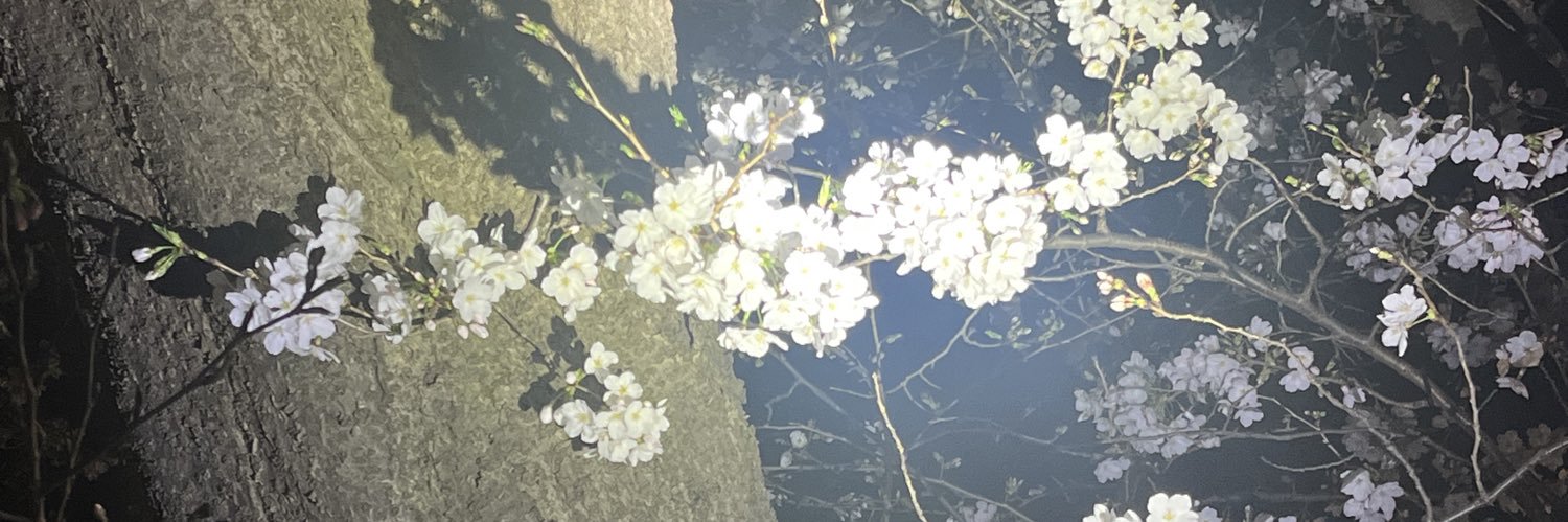 nininimame's profile banner image