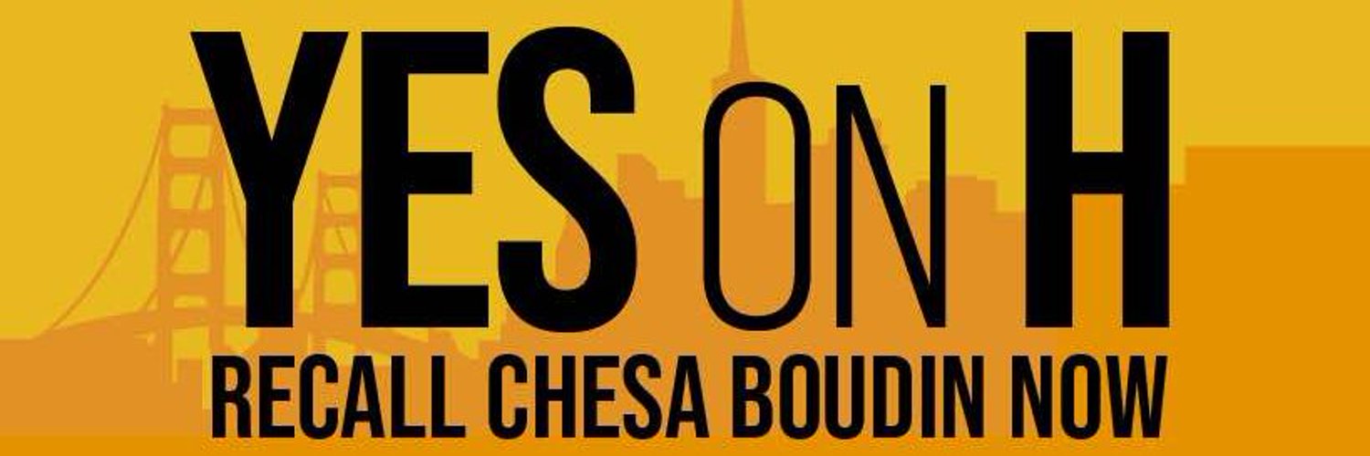 The Successful Recall of Chesa Boudin Profile Banner