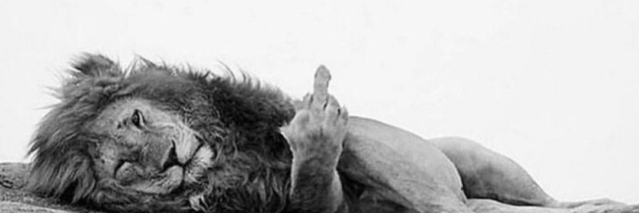 Kenner Rivas banner