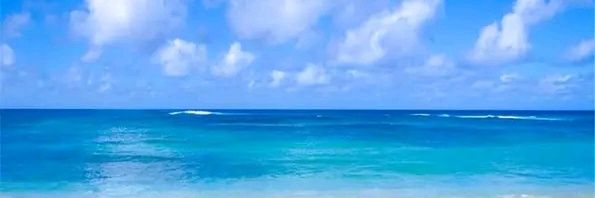 DonMarcus_Official banner