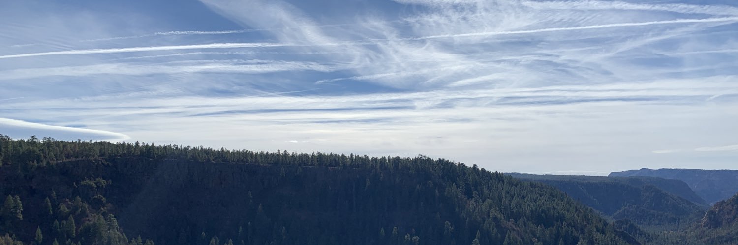 Miss Perception banner