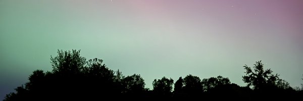 adam_frisch Profile Banner
