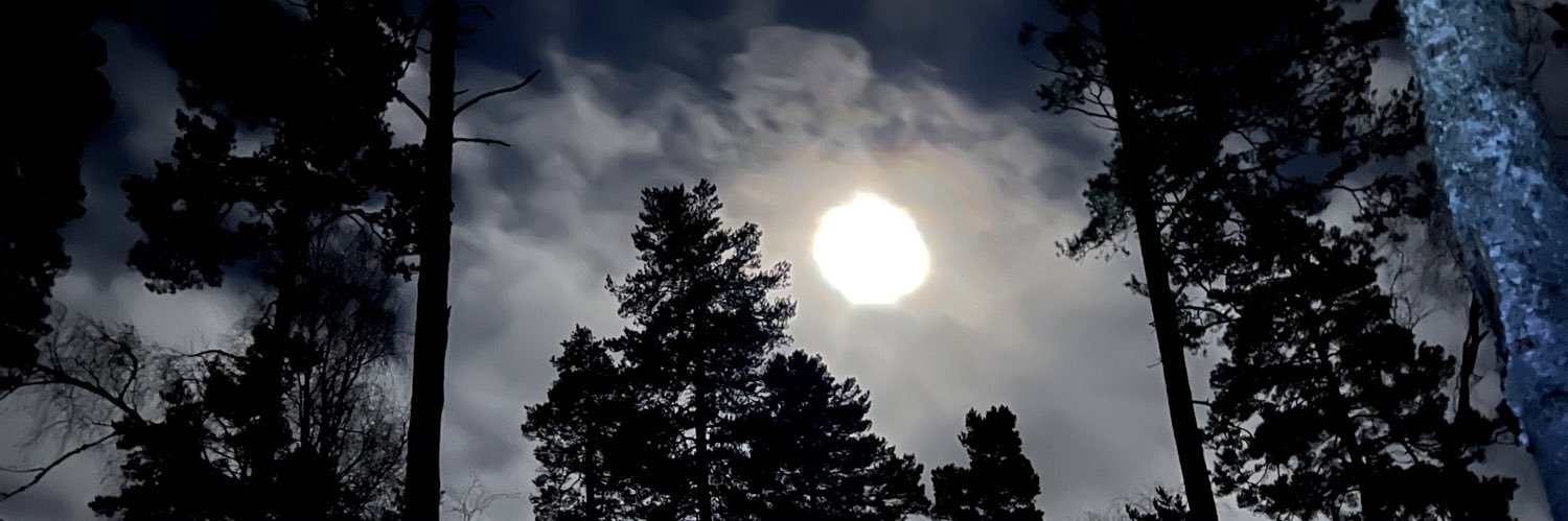 MagnusBerg4's profile banner image