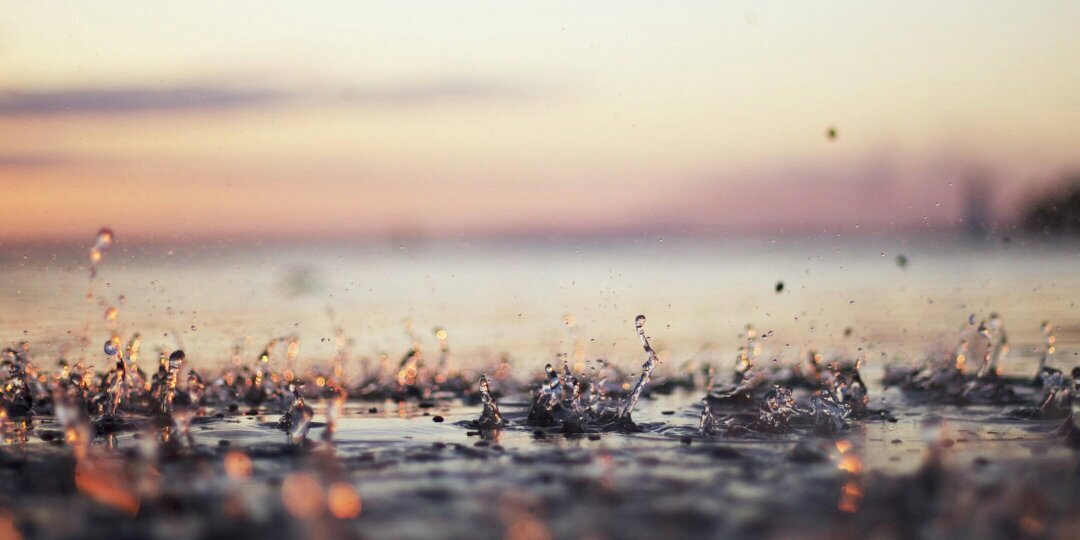 Sulaiman | السلمي banner