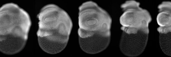 eye_evolution Profile Banner