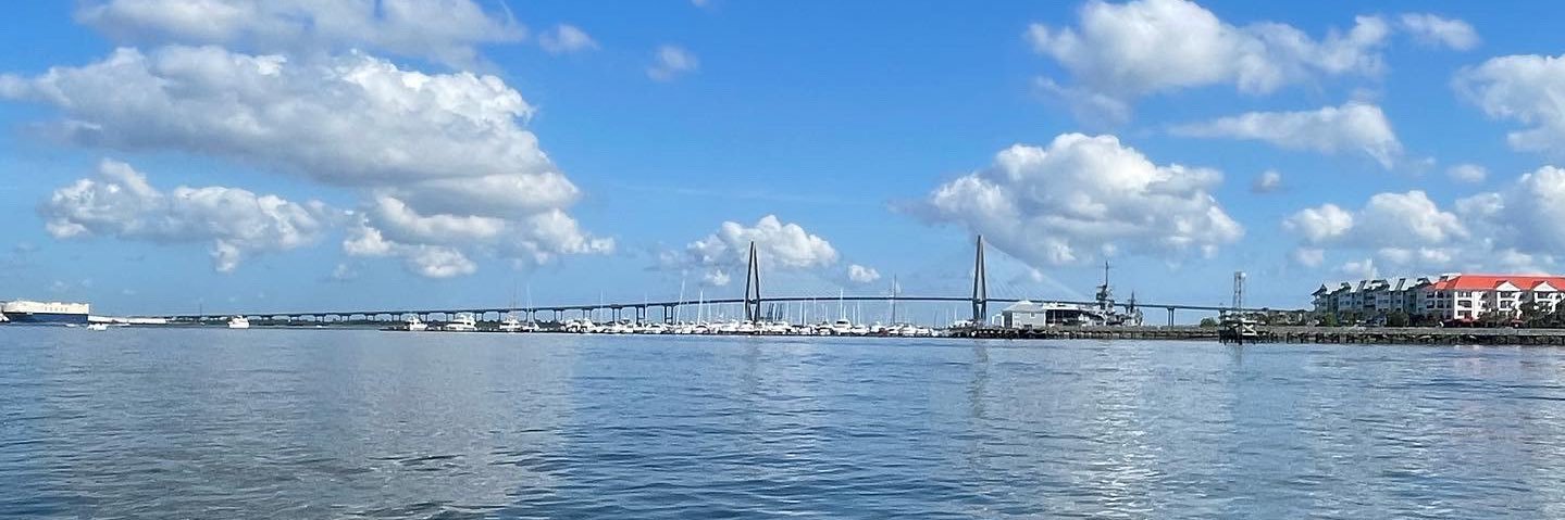 Caroline Perez banner