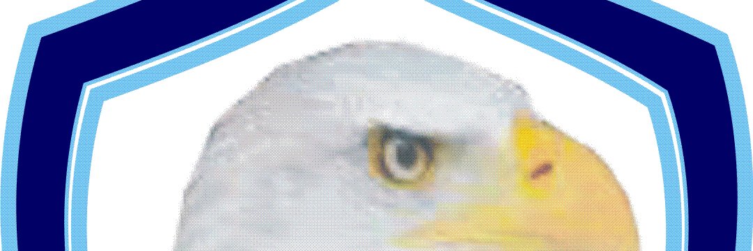 nuomenon's profile banner image