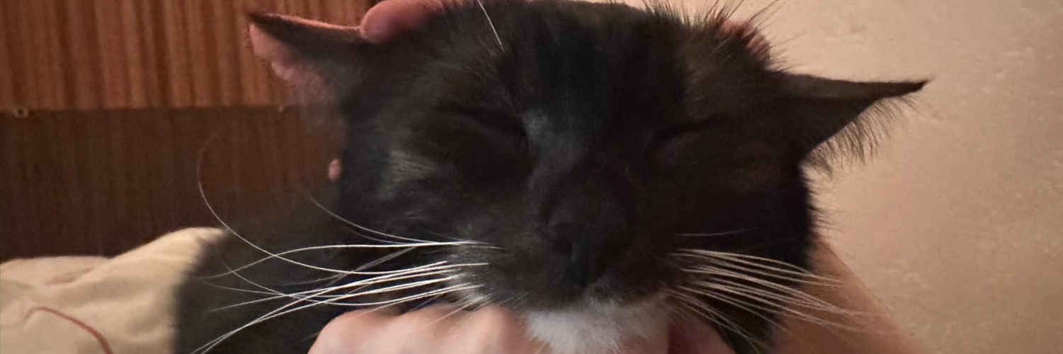rblg_'s profile banner image