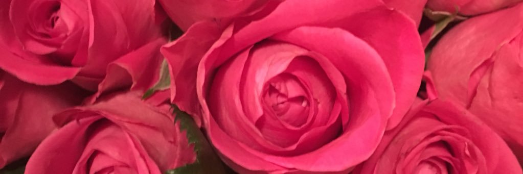mita_ash's profile banner image