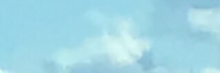 chase banner
