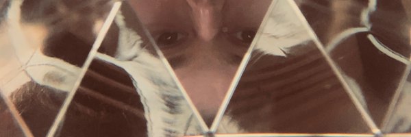 mirror_tree Profile Banner