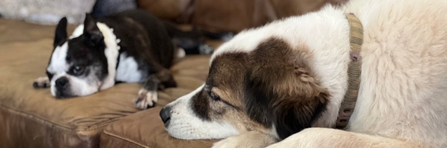 TexasGrad83🍊 banner