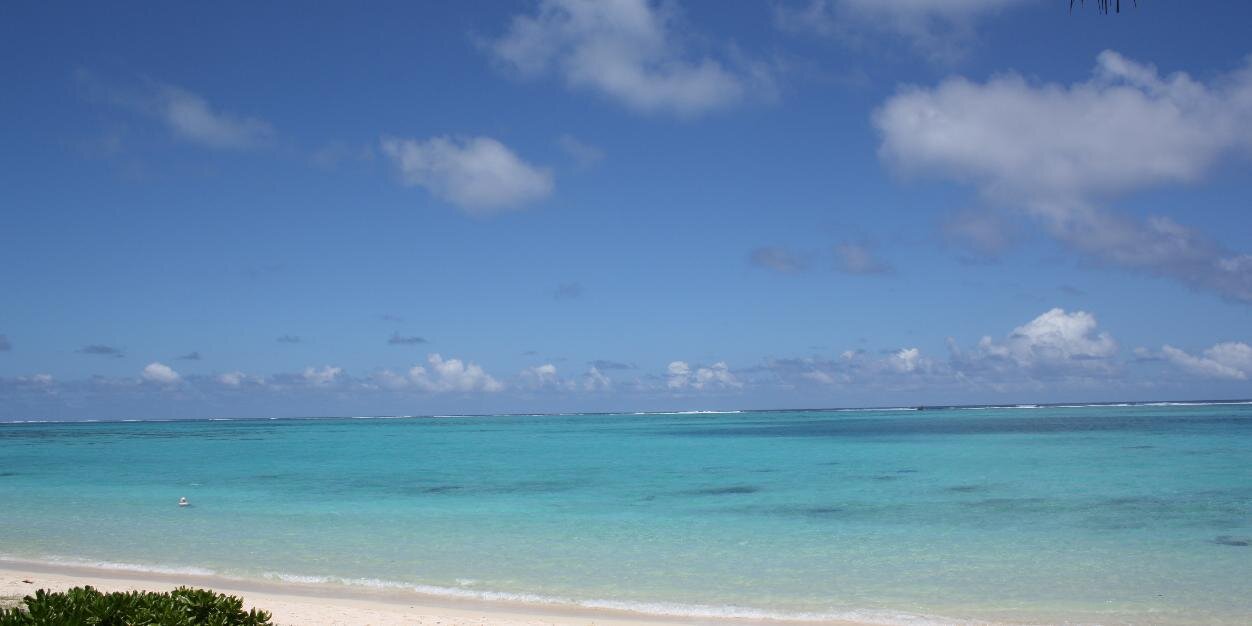 dondinello's profile banner image