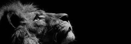 donjjov's profile banner image