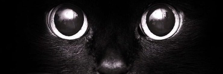 AikoEight's profile banner image