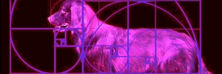 OptimusFan96's profile banner image