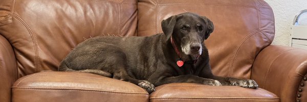 cmtobin1 Profile Banner