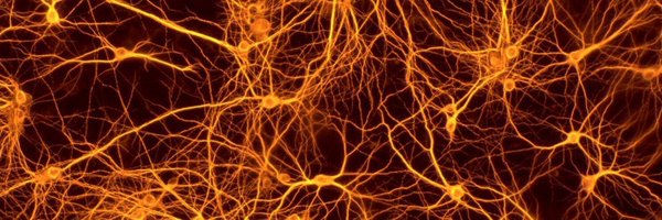 MDC_Berlin Profile Banner