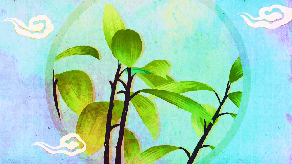 jefkumar90's profile banner image