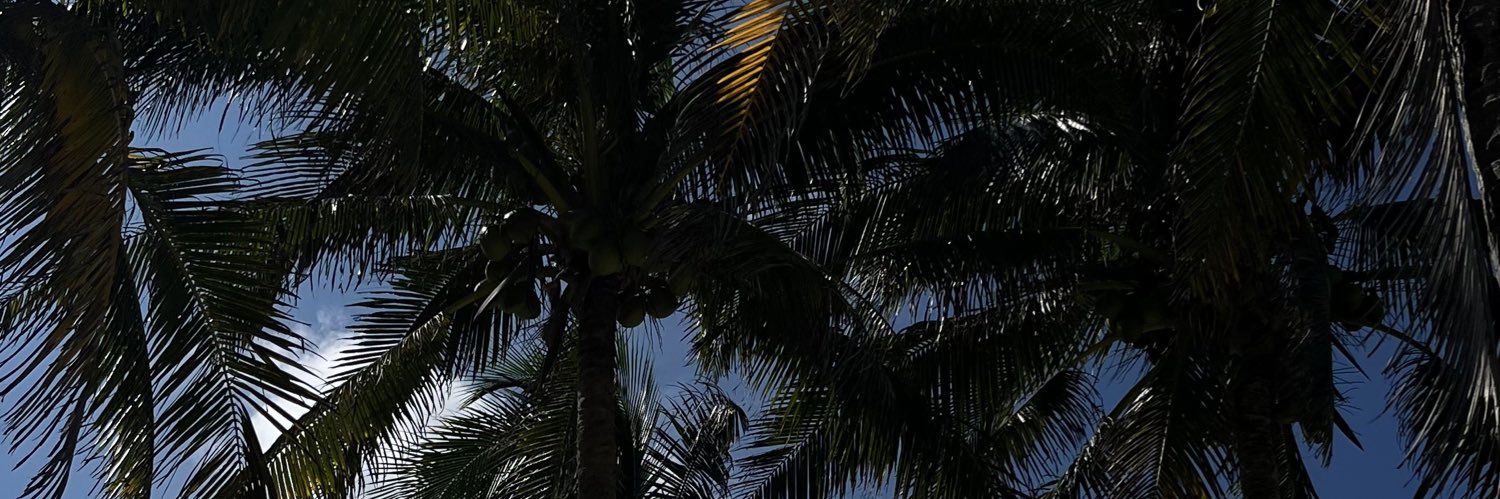 viccsal9's profile banner image