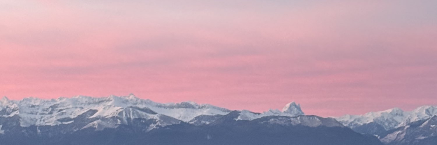 Choupifiona's profile banner image
