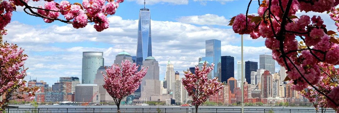 عائشة ♏️ banner