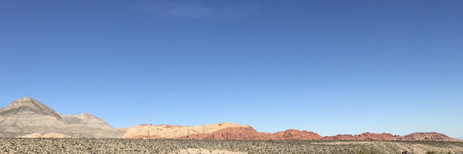 Robert Fogerty, MD banner