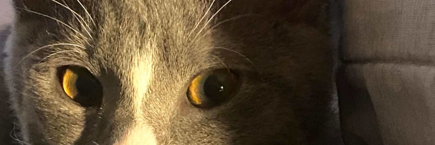 Kndemirela's profile banner image