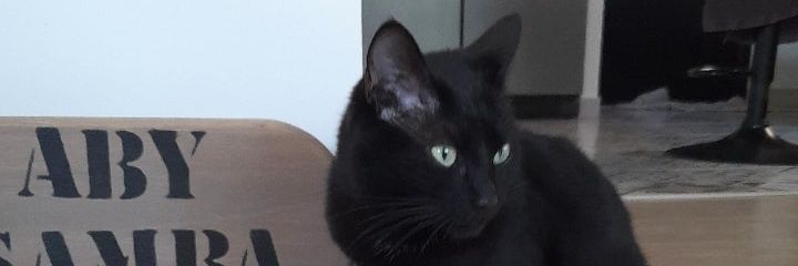 B E C K E R S 🥞 banner