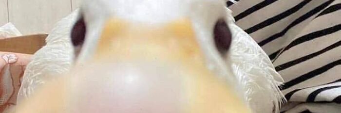 Moooonneew's profile banner image
