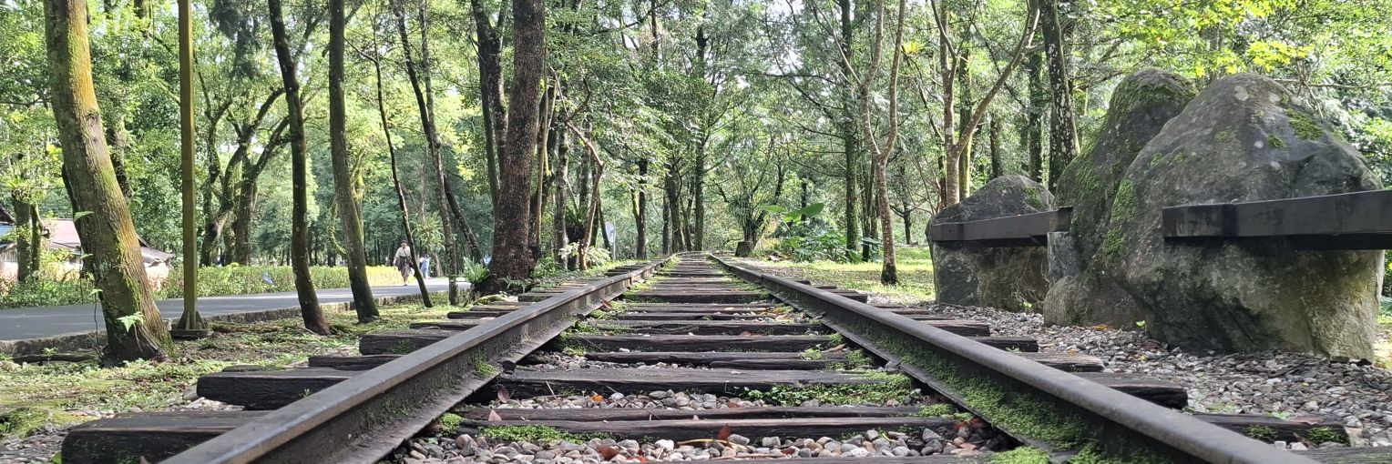 伊洛斯澄林(Chenglin‧Aeglos) banner