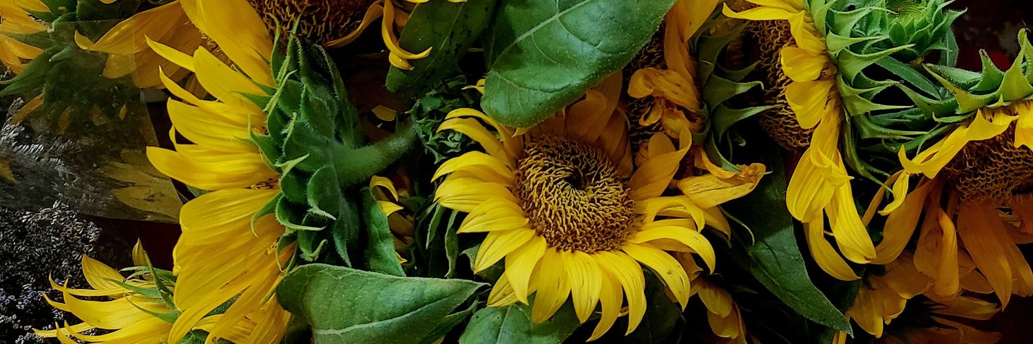 ccchocochips's profile banner image