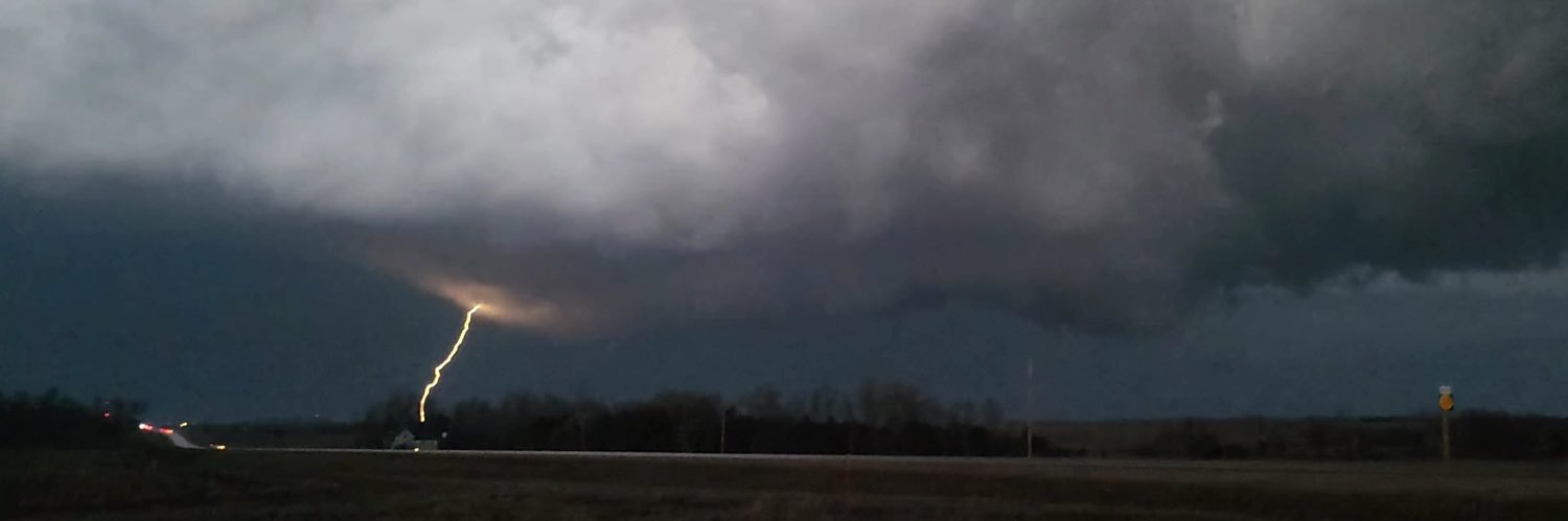 Hannah Chesnut🌩️ banner