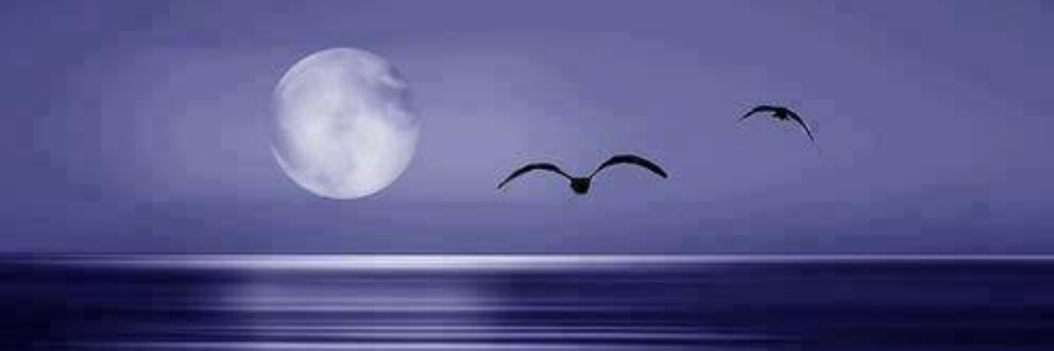 deepvioleta's profile banner image