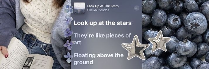 shaa banner