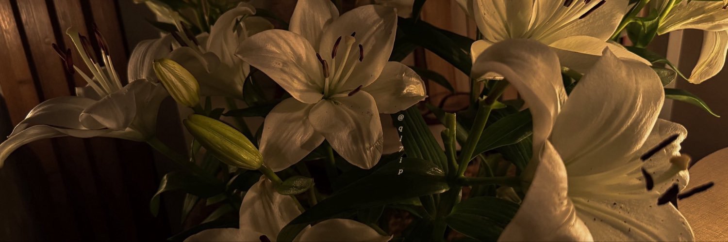 lllncii's profile banner image