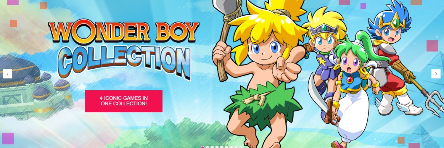 Ryuichi Nishizawa banner