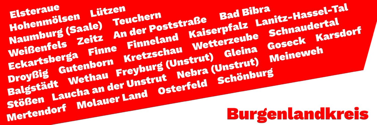 Die Linke Burgenlandkreis Profile Banner